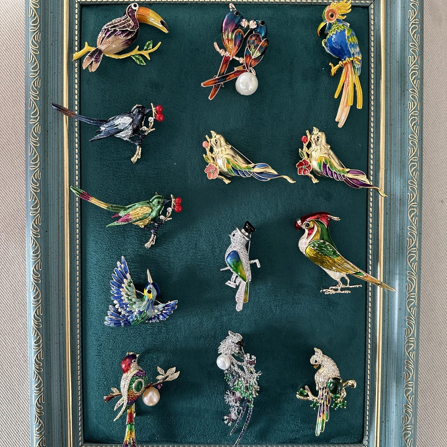 Vibrant Tropical Parrot Enamel Brooch