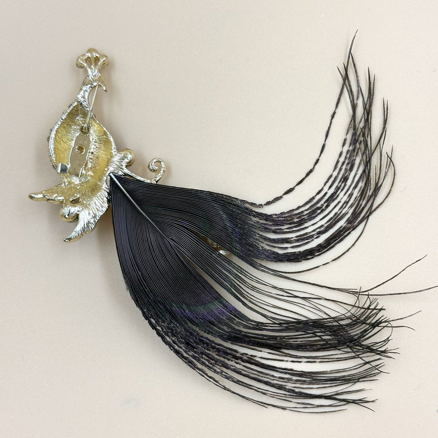 Peacock feather brooch